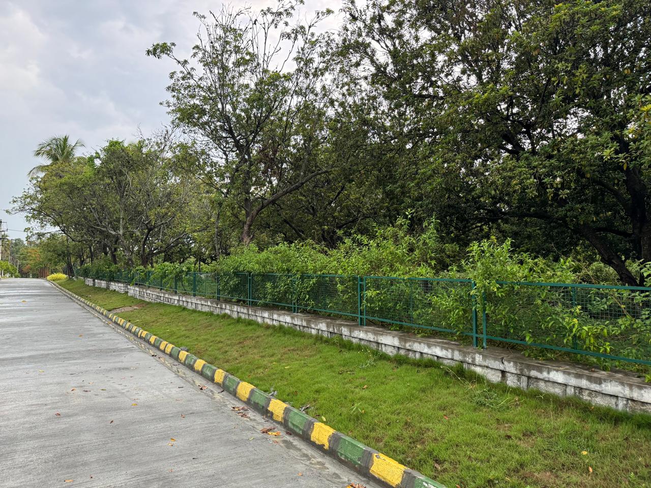Kanakapura Road