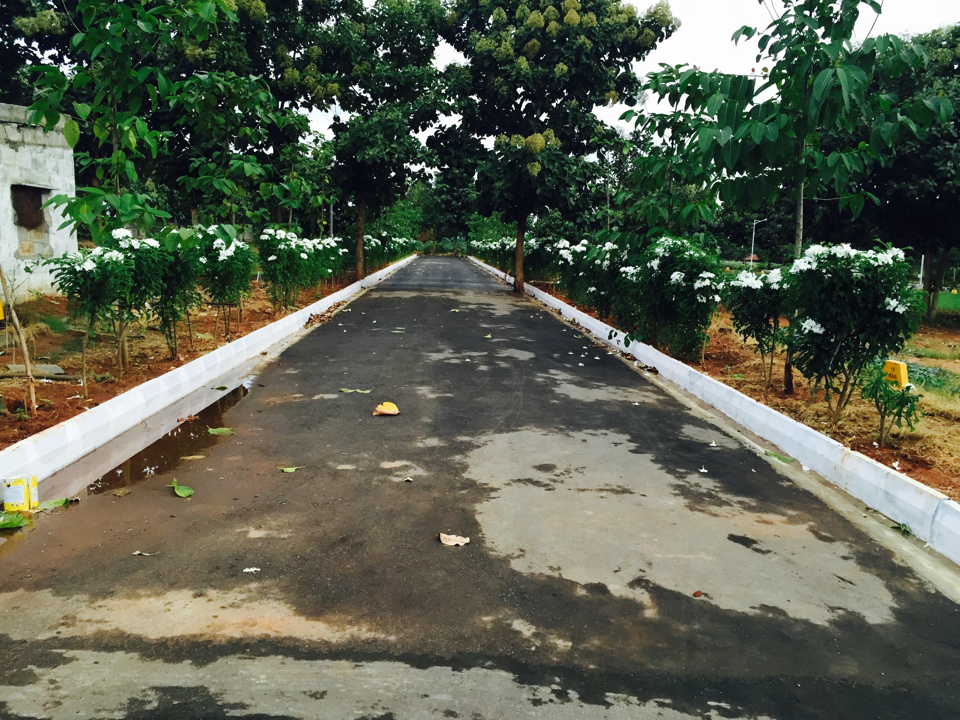 Aashrithaa Brindavan - view 3